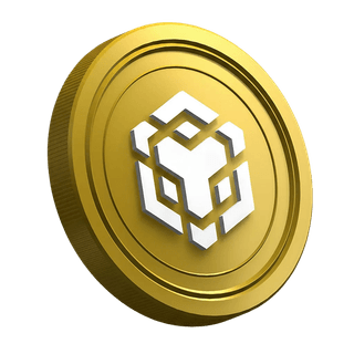 Página de guía dirigida a traders principiantes sobre la criptomoneda BNB
